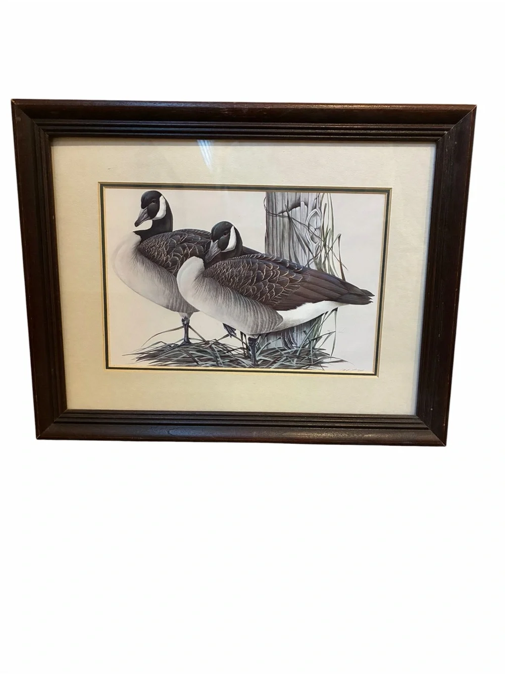 2 Vintage Bird Prints Art LaMay Whimsical Wigeons & Canada Geese Limited Edition